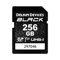 Delkin 256GB BLACK UHS-I (V30) SDXC Memory Card